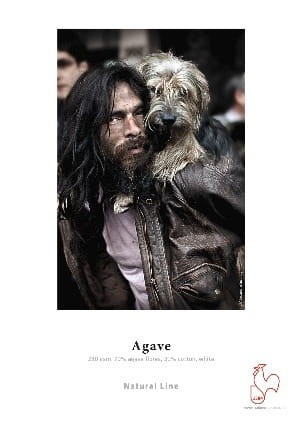 Agave.jpg