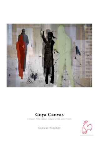 goya.PNG
