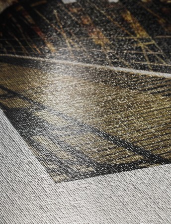 Hahnemuehle_Detail_Canvas_Metallic.jpg