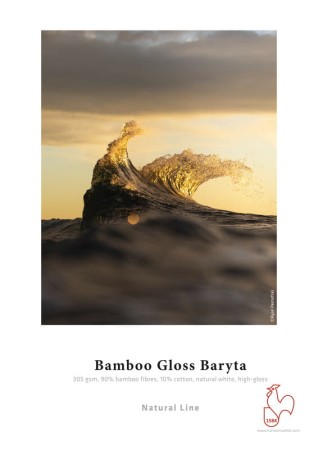 RS2840_Hahnemuehle_Bamboo_Gloss_Baryta_Sample_Print-scr.jpg