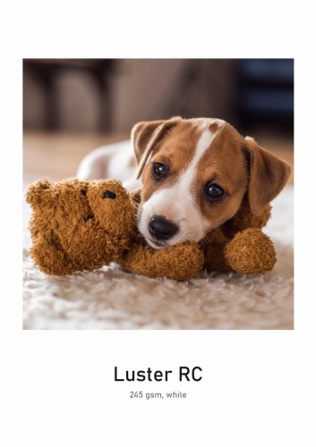 Go to product Solution Dry Lab Luster 245 gsm - Limited Edition