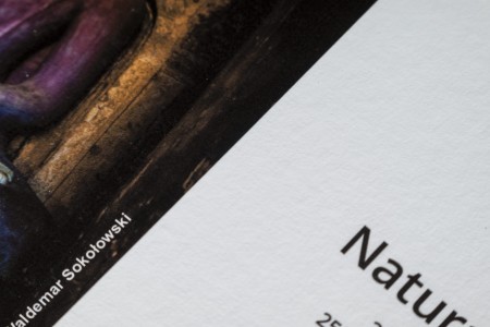 Natural Velvet 270.jpg