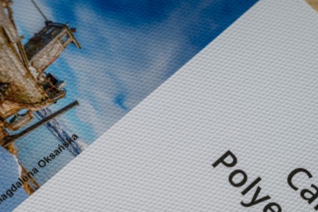 Canvas Polyester Matt 290.jpg