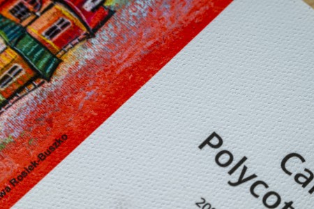 Canvas Polycotton Matt 365.jpg