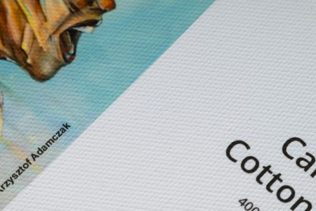 Canvas Cotton Matt 400.jpg