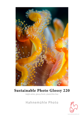 Przejdź do produktu Papier fotograficzny Hahnemühle Sustainable Photo Glossy  220 gsm